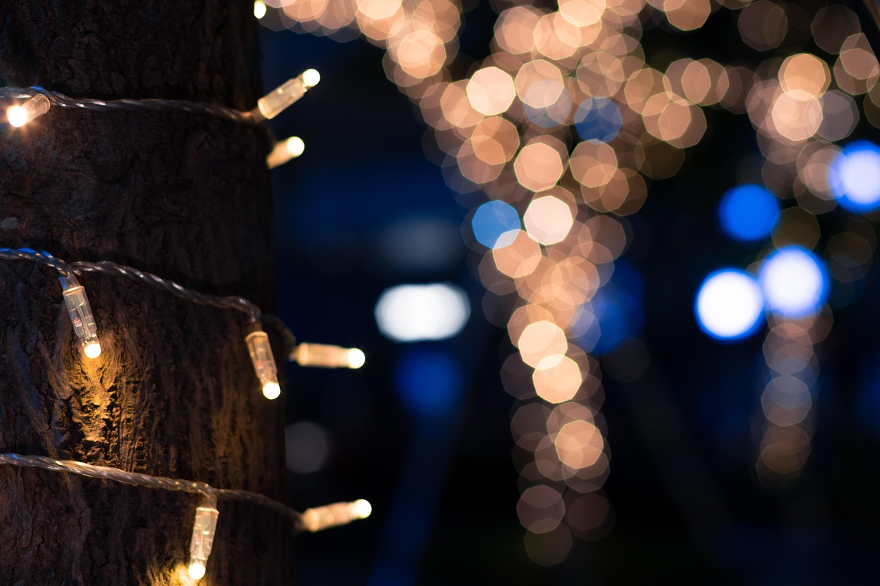 this image shows Christmas lights hanging in Carmichael, CA