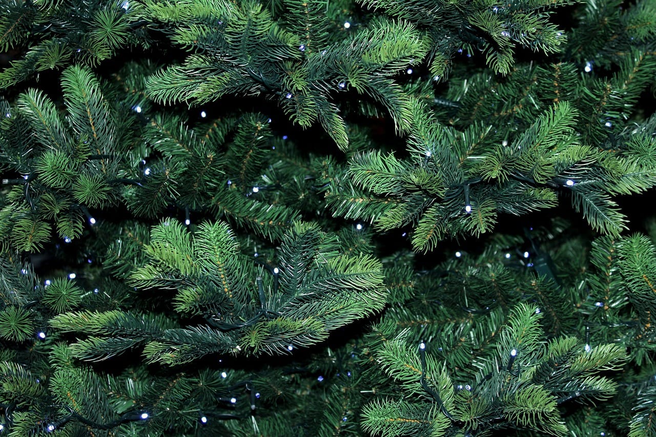 this image shows bush Christmas lights in Citrus Heights, CA