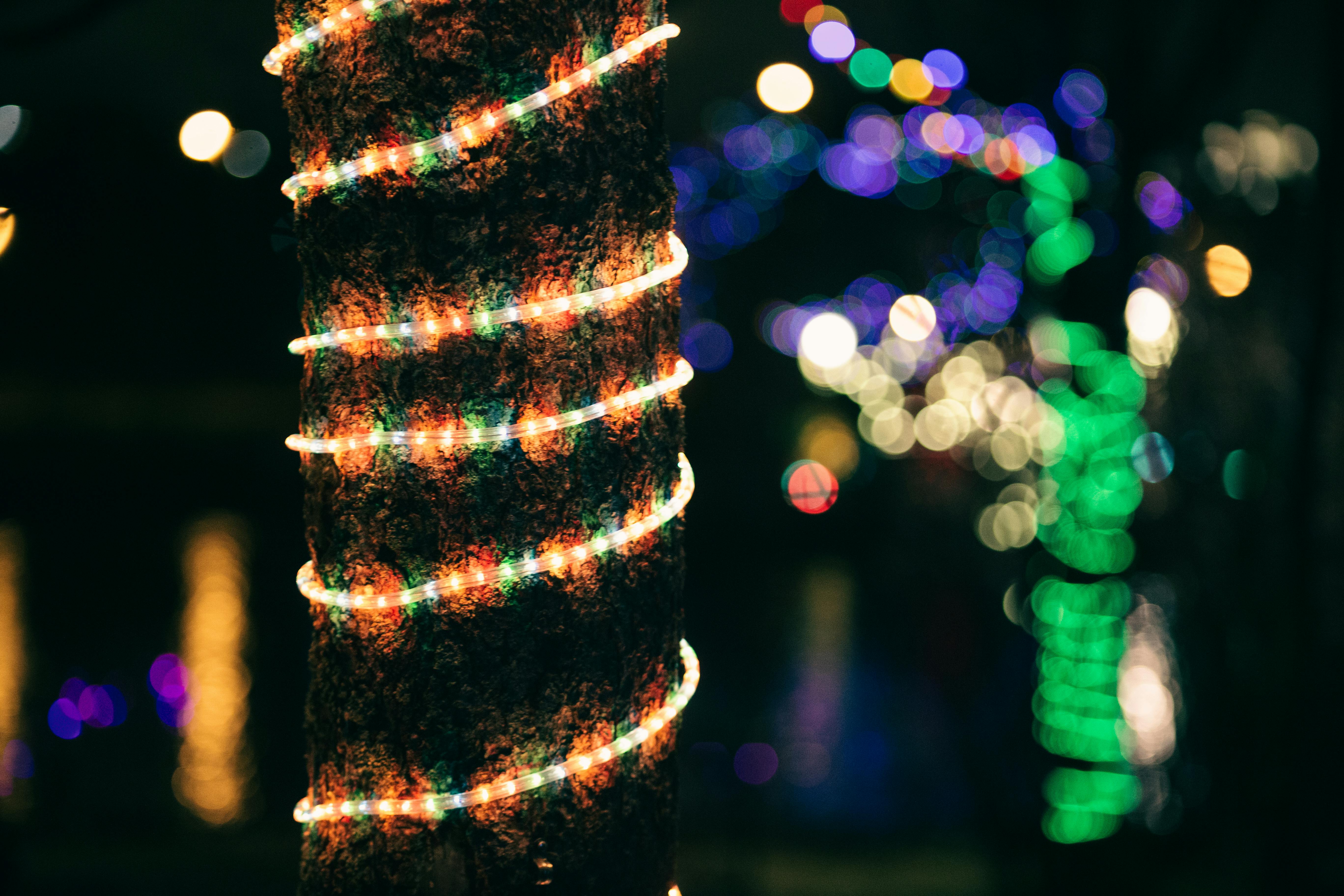 Christmas lights installed on a home, Rocklin holiday lighting by Buddy's Christmas Light Hanging
