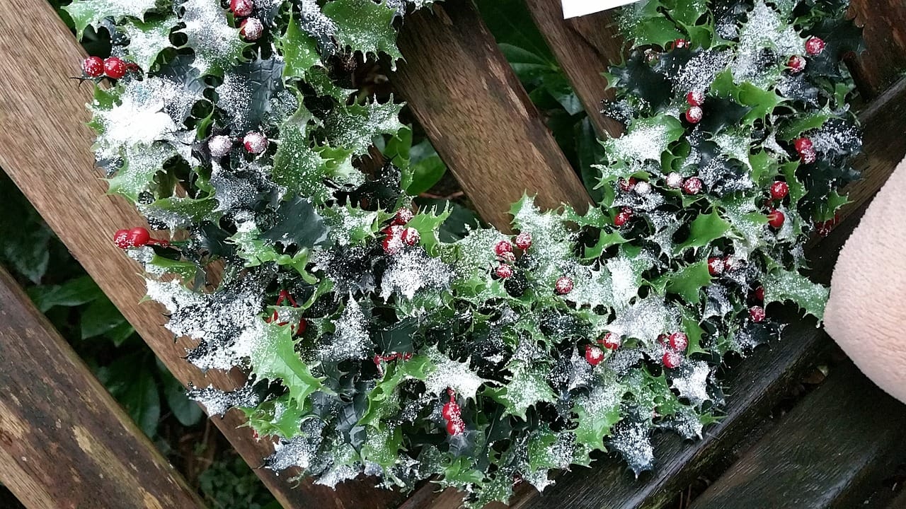 this image shows Christmas wreath hanging in Citrus Heights, CA