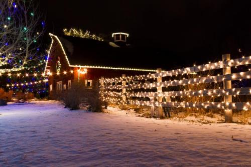 christmas-lights-Roseville-CA this image shows Christmas light installation services in Roseville, CA