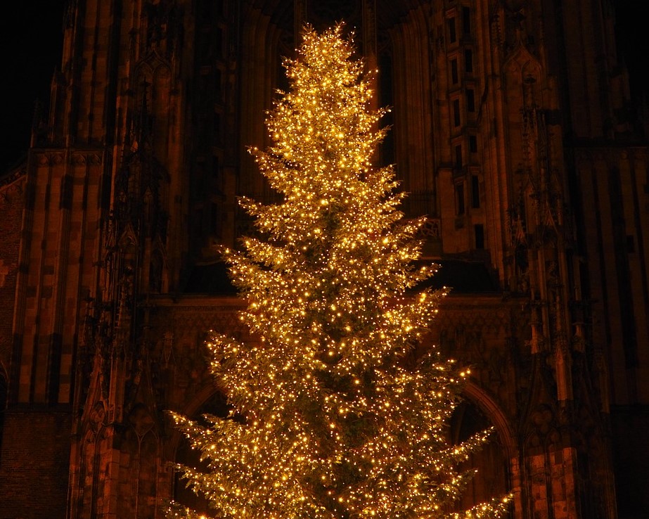 this image shows Christmas lights installation in Citrus-Heights, CA